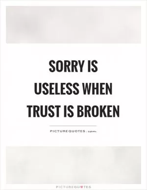 Sorry is useless when trust is broken Picture Quote #1