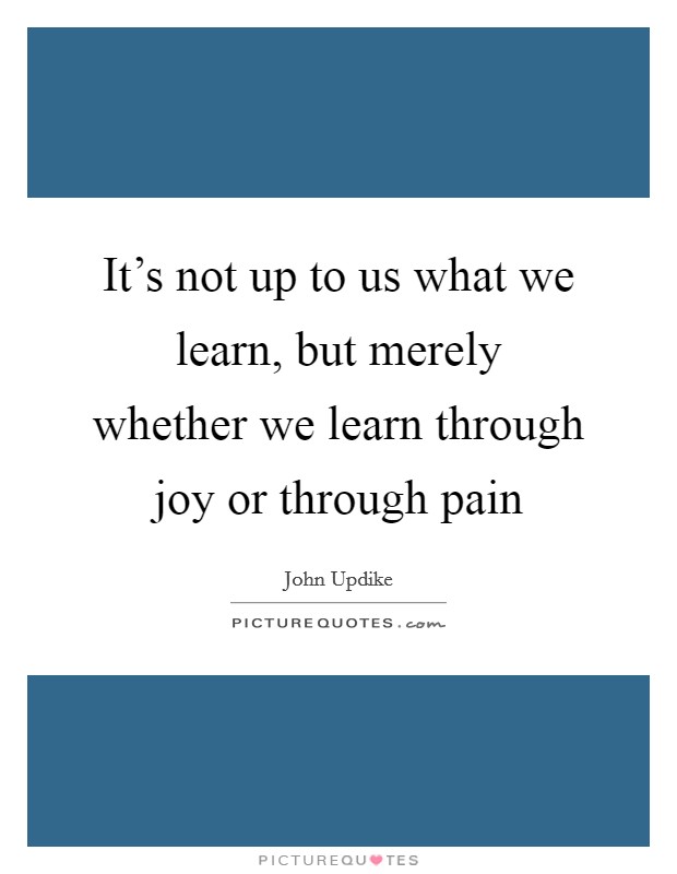 It's not up to us what we learn, but merely whether we learn through joy or through pain Picture Quote #1