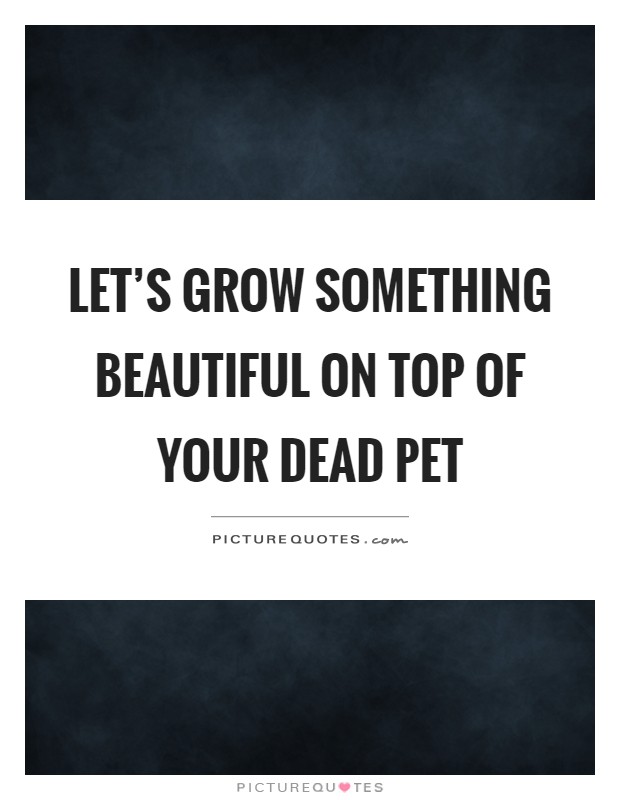 Let's grow something beautiful on top of your dead pet Picture Quote #1