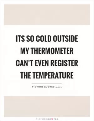 Its so cold outside my thermometer can’t even register the temperature Picture Quote #1