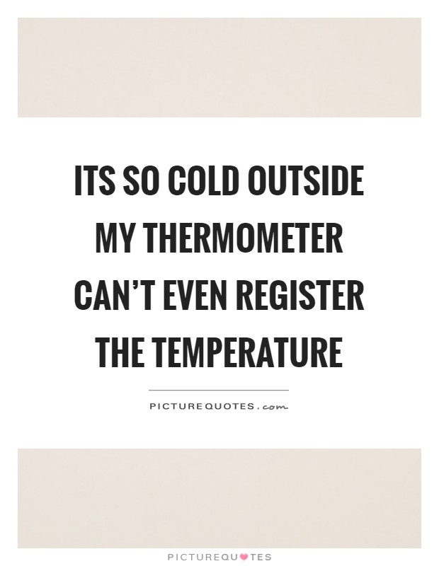 Its so cold outside my thermometer can't even register the temperature Picture Quote #1