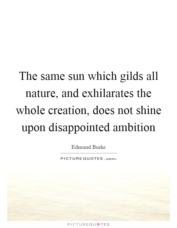The same sun which gilds all nature, and exhilarates the whole creation, does not shine upon disappointed ambition Picture Quote #1