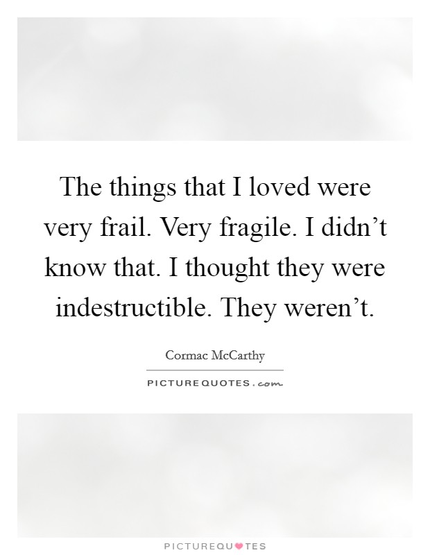 The things that I loved were very frail. Very fragile. I didn't know that. I thought they were indestructible. They weren't Picture Quote #1