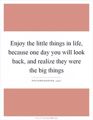 Enjoy the little things in life, because one day you will look back, and realize they were the big things Picture Quote #1