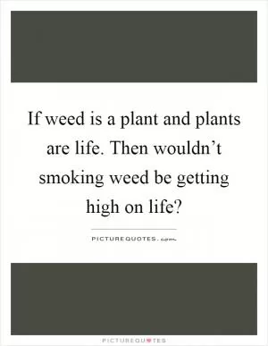 If weed is a plant and plants are life. Then wouldn’t smoking weed be getting high on life? Picture Quote #1