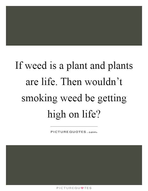 If weed is a plant and plants are life. Then wouldn't smoking weed be getting high on life? Picture Quote #1