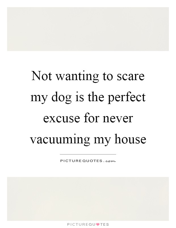 Not wanting to scare my dog is the perfect excuse for never vacuuming my house Picture Quote #1