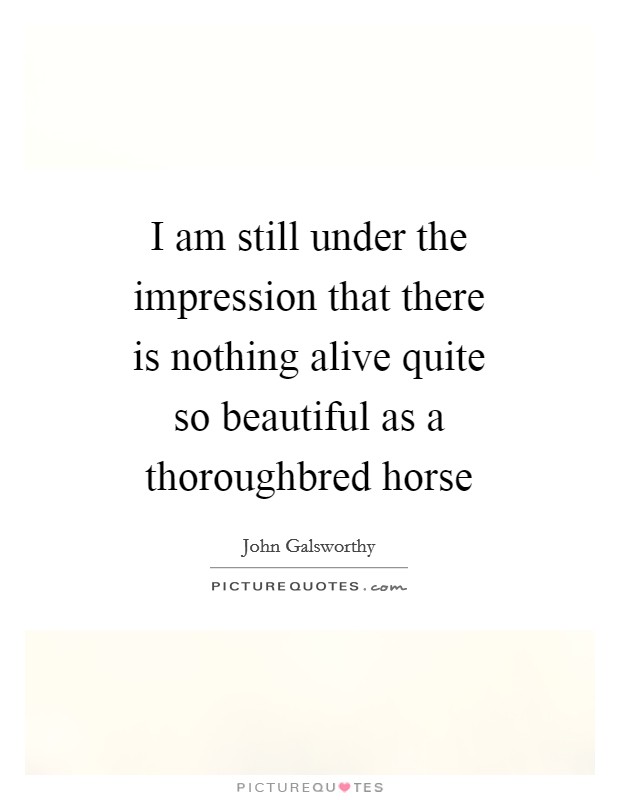 I am still under the impression that there is nothing alive quite so beautiful as a thoroughbred horse Picture Quote #1