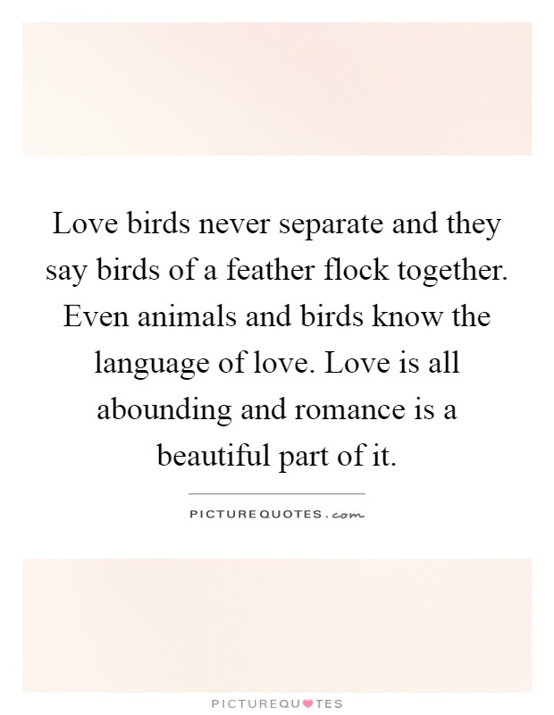 Love birds never separate and they say birds of a feather flock together. Even animals and birds know the language of love. Love is all abounding and romance is a beautiful part of it Picture Quote #1