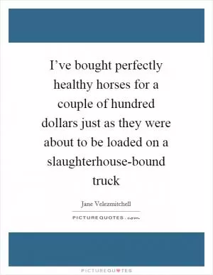 I’ve bought perfectly healthy horses for a couple of hundred dollars just as they were about to be loaded on a slaughterhouse-bound truck Picture Quote #1