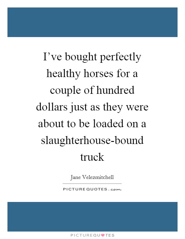 I've bought perfectly healthy horses for a couple of hundred dollars just as they were about to be loaded on a slaughterhouse-bound truck Picture Quote #1