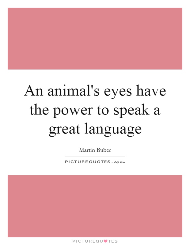 An animal's eyes have the power to speak a great language Picture Quote #1