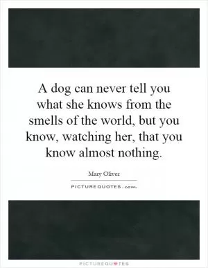 A dog can never tell you what she knows from the smells of the world, but you know, watching her, that you know almost nothing Picture Quote #1