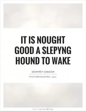 It is nought good a slepyng hound to wake Picture Quote #1