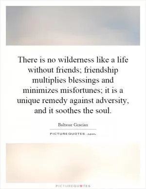 There is no wilderness like a life without friends; friendship multiplies blessings and minimizes misfortunes; it is a unique remedy against adversity, and it soothes the soul Picture Quote #1