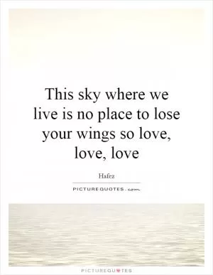 This sky where we live is no place to lose your wings so love, love, love Picture Quote #1