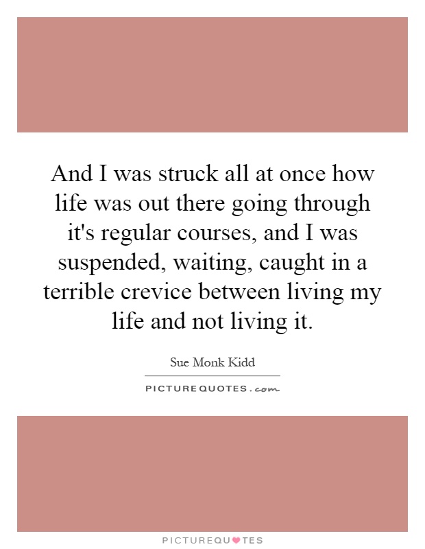 And I was struck all at once how life was out there going through it's regular courses, and I was suspended, waiting, caught in a terrible crevice between living my life and not living it Picture Quote #1