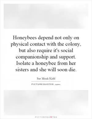 Honeybees depend not only on physical contact with the colony, but also require it's social companionship and support. Isolate a honeybee from her sisters and she will soon die Picture Quote #1