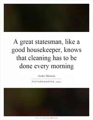 A great statesman, like a good housekeeper, knows that cleaning has to be done every morning Picture Quote #1