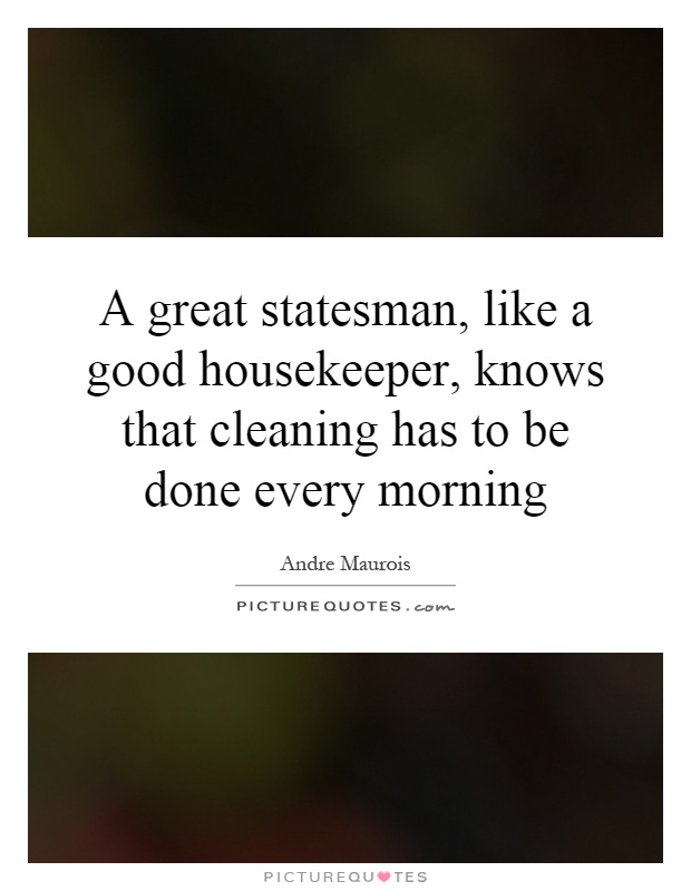 A great statesman, like a good housekeeper, knows that cleaning has to be done every morning Picture Quote #1