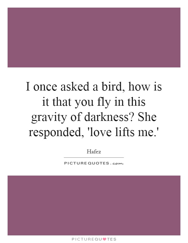 I once asked a bird, how is it that you fly in this gravity of darkness? She responded, 'love lifts me.' Picture Quote #1