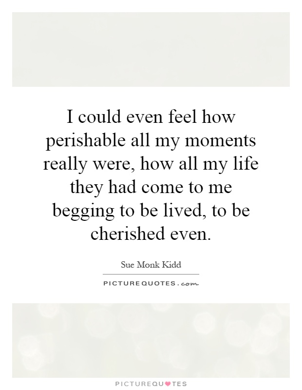 I could even feel how perishable all my moments really were, how all my life they had come to me begging to be lived, to be cherished even Picture Quote #1