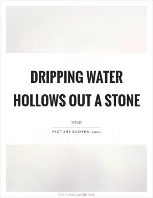 Dripping water hollows out a stone Picture Quote #1