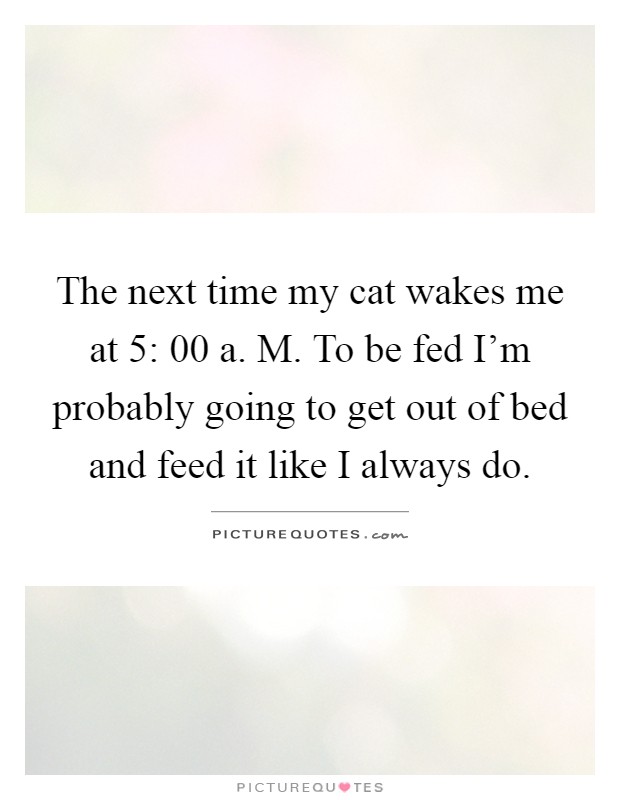 The next time my cat wakes me at 5: 00 a. M. To be fed I'm probably going to get out of bed and feed it like I always do Picture Quote #1