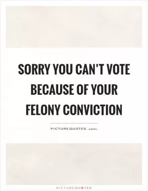 Sorry you can’t vote because of your felony conviction Picture Quote #1