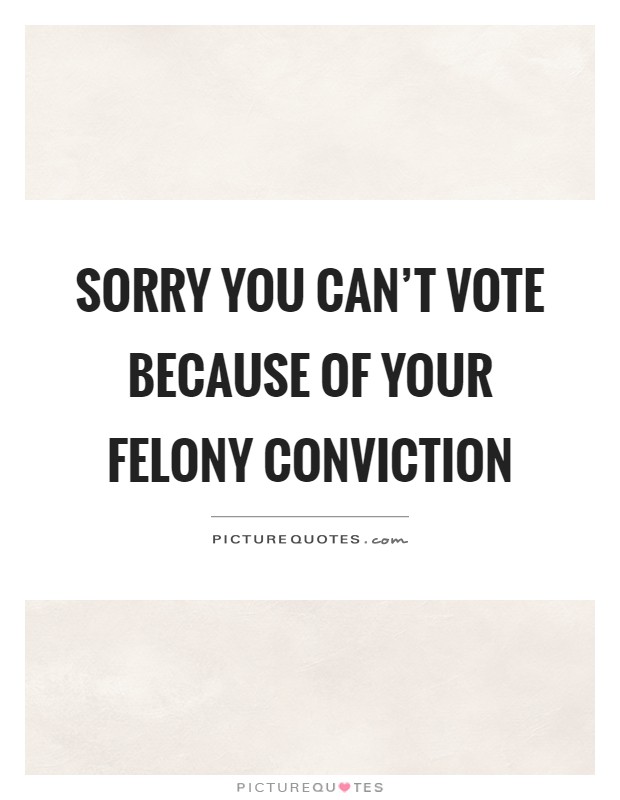 Sorry you can't vote because of your felony conviction Picture Quote #1
