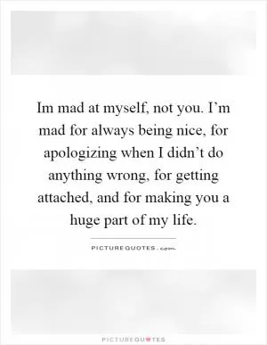 Im mad at myself, not you. I’m mad for always being nice, for apologizing when I didn’t do anything wrong, for getting attached, and for making you a huge part of my life Picture Quote #1