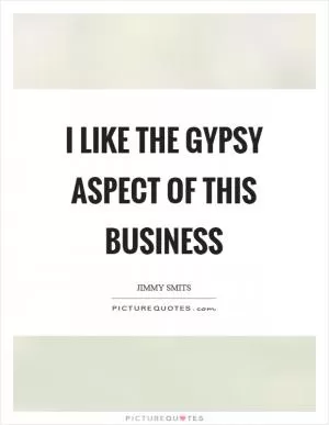 I like the gypsy aspect of this business Picture Quote #1