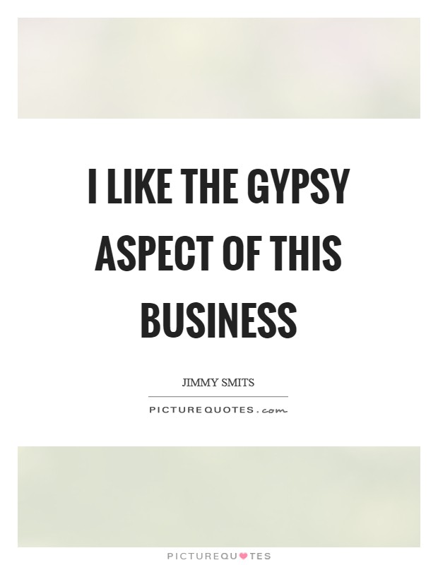 I like the gypsy aspect of this business Picture Quote #1