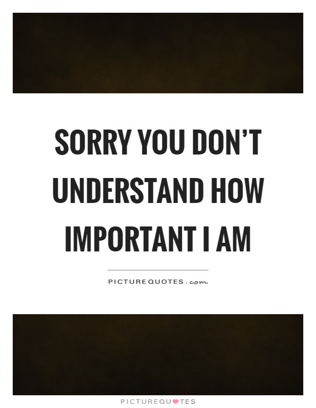 Sorry you don't understand how important I am Picture Quote #1