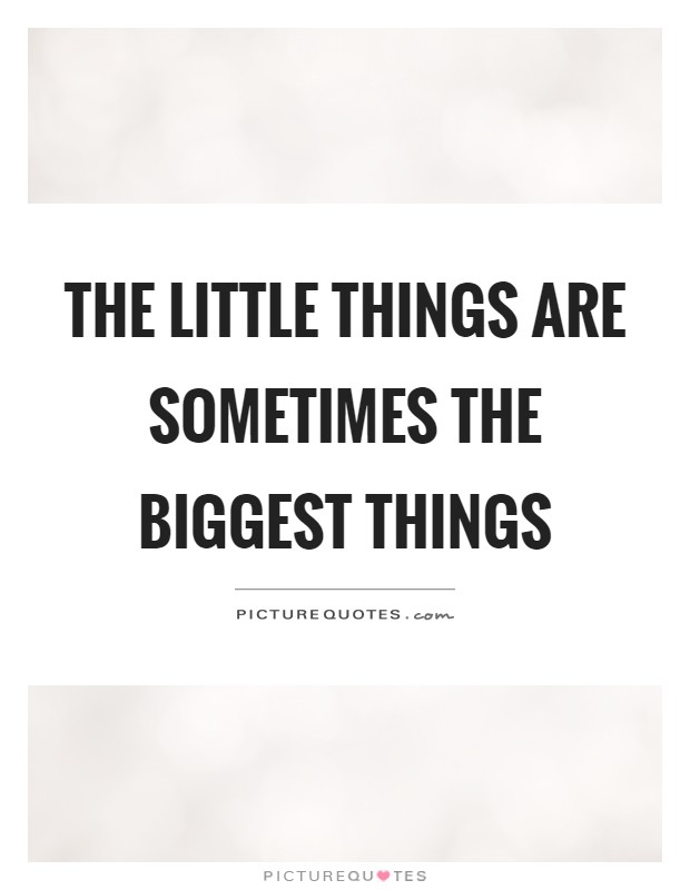 The little things are sometimes the biggest things Picture Quote #1