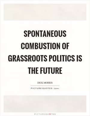 Spontaneous combustion of grassroots politics is the future Picture Quote #1