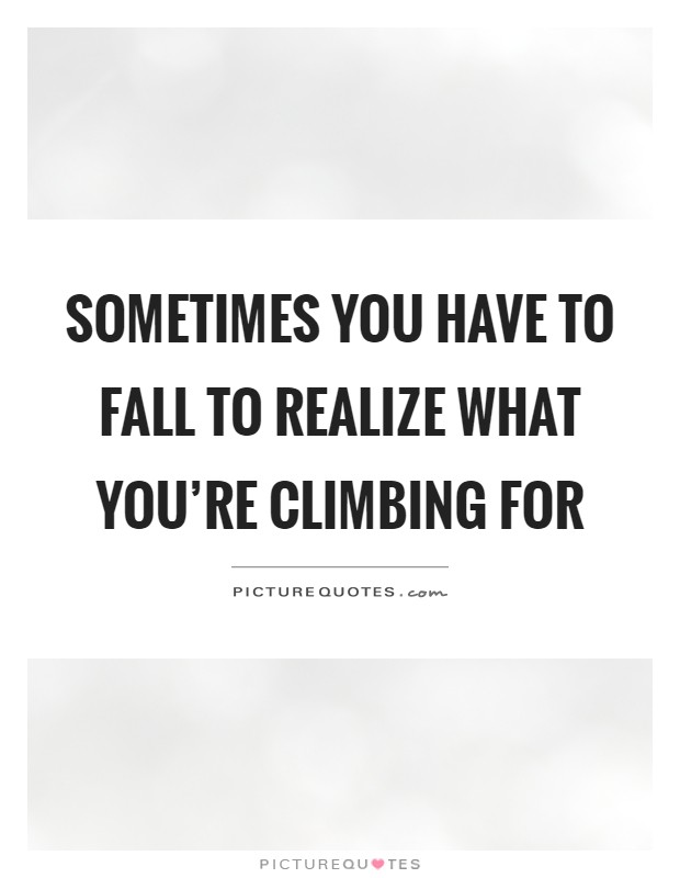 Sometimes you have to fall to realize what you're climbing for Picture Quote #1