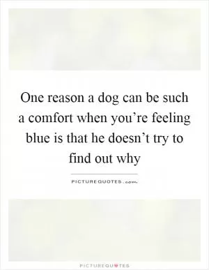 One reason a dog can be such a comfort when you’re feeling blue is that he doesn’t try to find out why Picture Quote #1