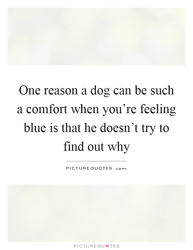 One reason a dog can be such a comfort when you're feeling blue is that he doesn't try to find out why Picture Quote #1