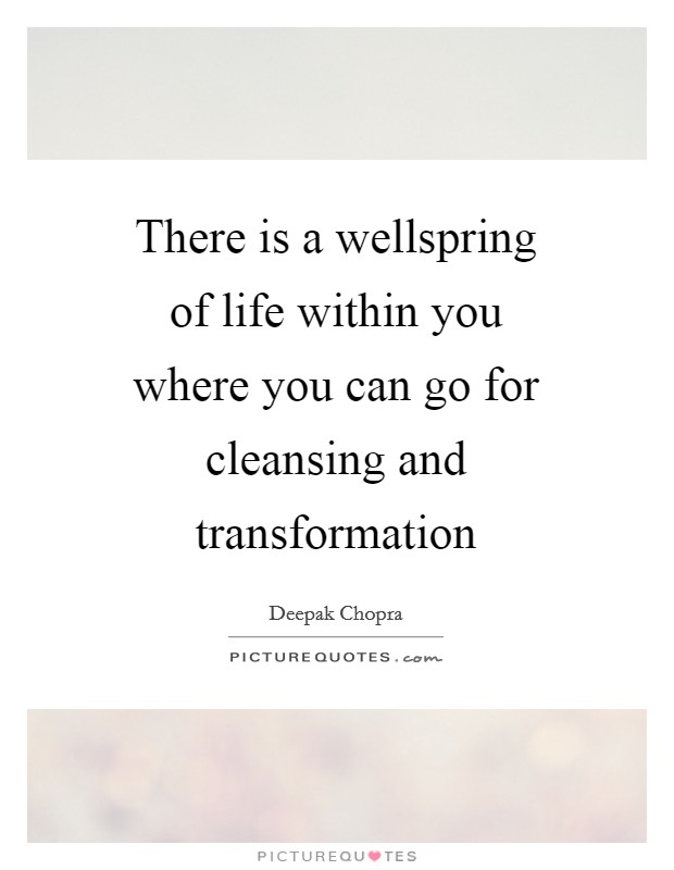 There is a wellspring of life within you where you can go for cleansing and transformation Picture Quote #1
