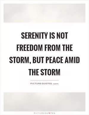 Serenity is not freedom from the storm, but peace amid the storm Picture Quote #1