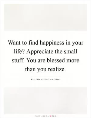 Want to find happiness in your life? Appreciate the small stuff. You are blessed more than you realize Picture Quote #1