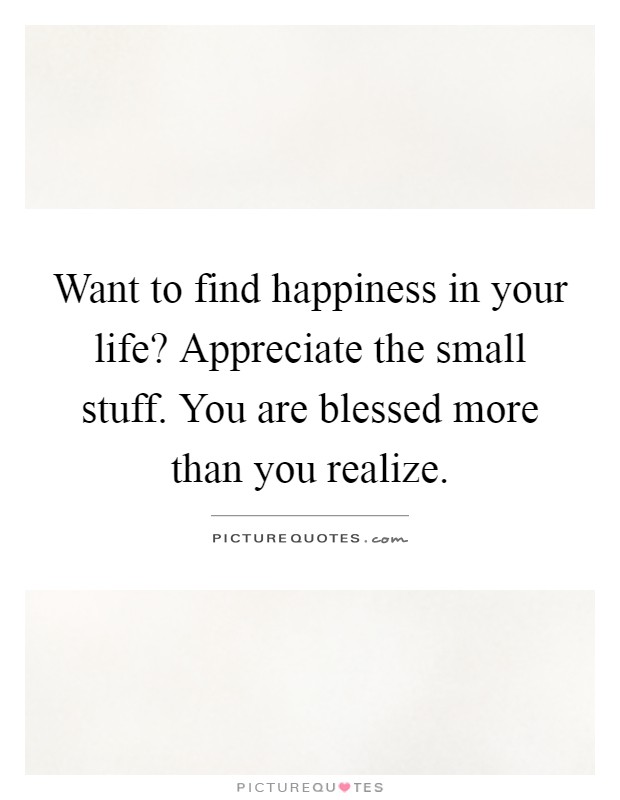 Want to find happiness in your life? Appreciate the small stuff. You are blessed more than you realize Picture Quote #1