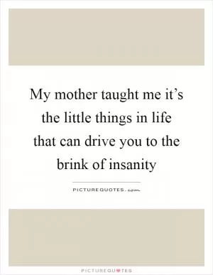 My mother taught me it’s the little things in life that can drive you to the brink of insanity Picture Quote #1