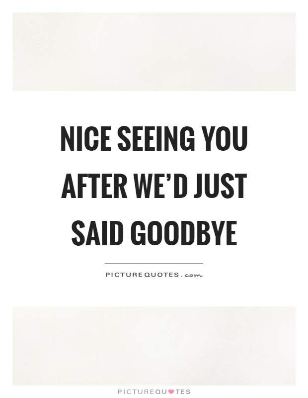 Nice seeing you after we'd just said goodbye Picture Quote #1