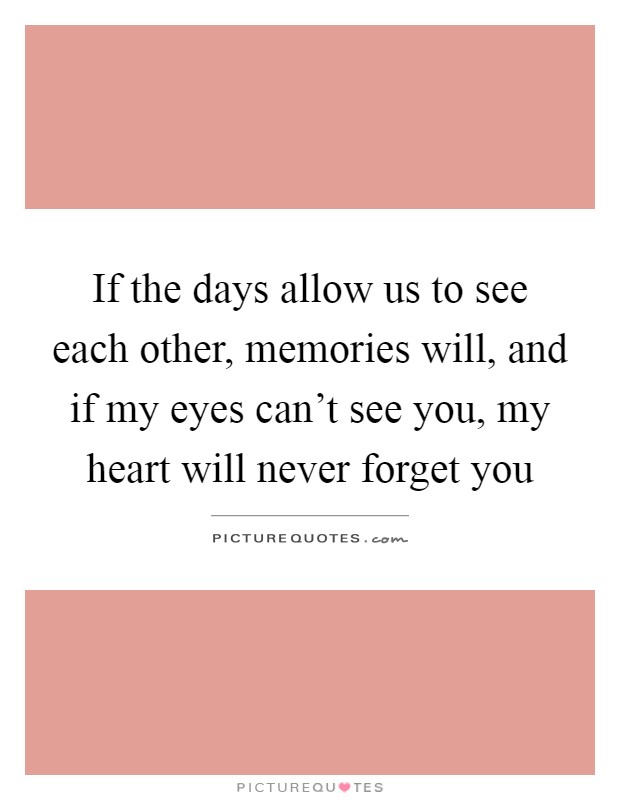 If the days allow us to see each other, memories will, and if my eyes can't see you, my heart will never forget you Picture Quote #1