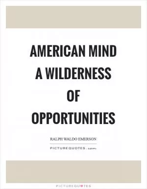American mind a wilderness of opportunities Picture Quote #1