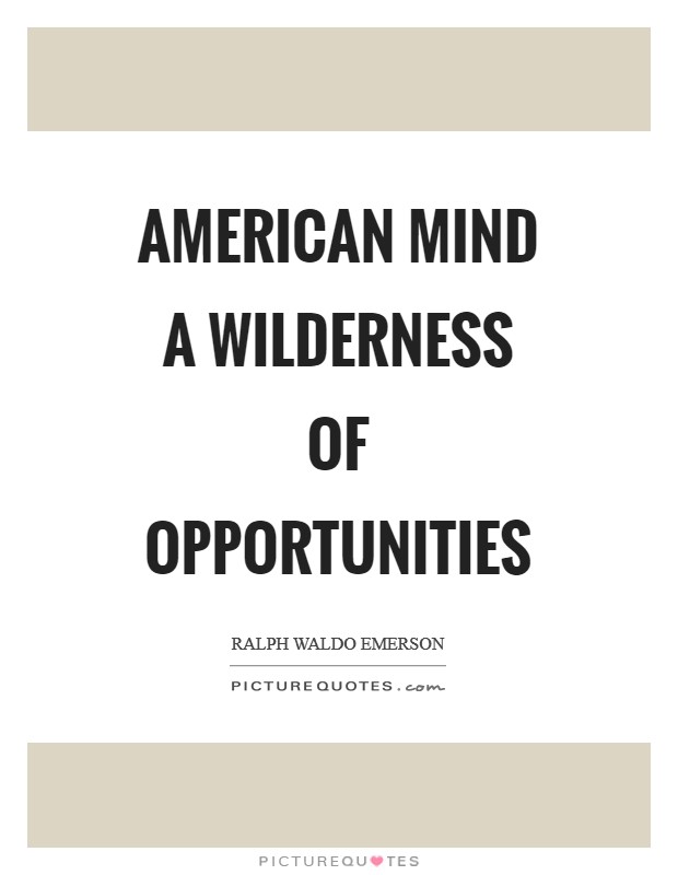 American mind a wilderness of opportunities Picture Quote #1
