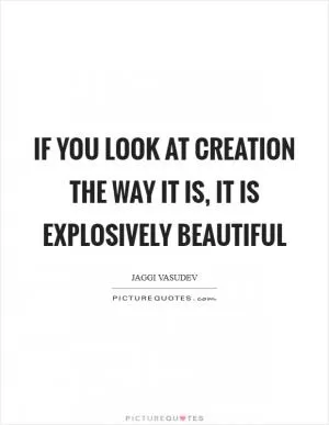 If you look at creation the way it is, it is explosively beautiful Picture Quote #1
