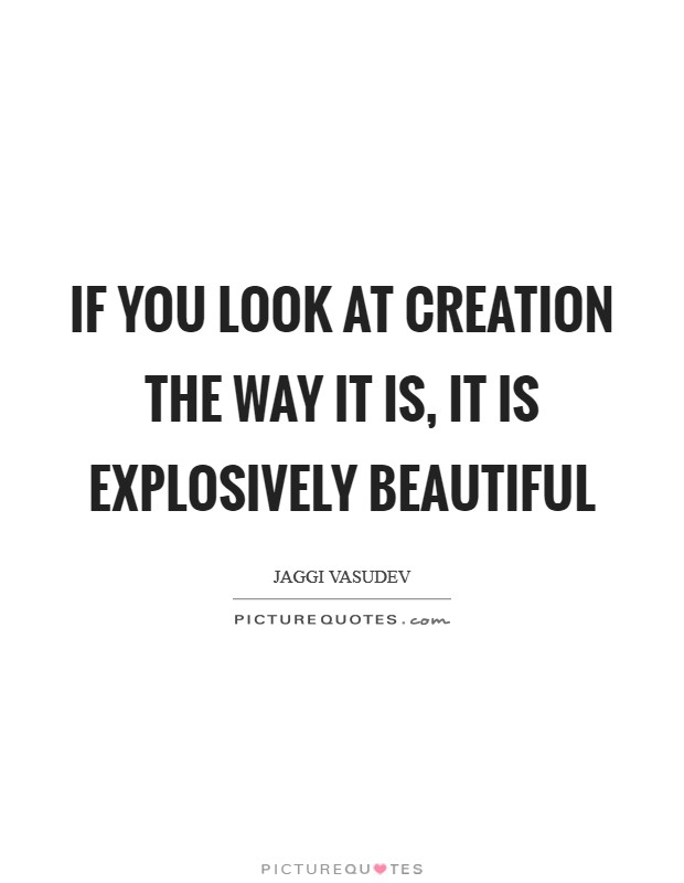 If you look at creation the way it is, it is explosively beautiful Picture Quote #1